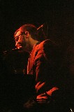 Eels06 * 460 x 690 * (73KB)